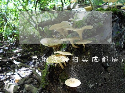 异地法院拍卖成都房产证 异地法院拍卖成都房产证