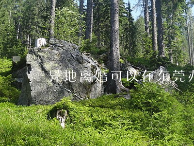 异地离婚可以在东莞办理吗 异地离婚可以在东莞办理吗