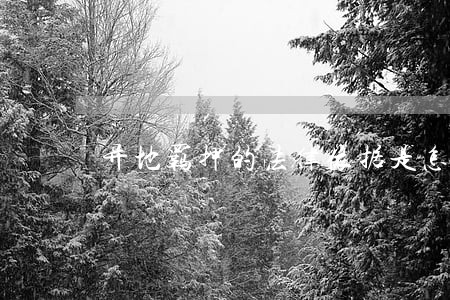 异地羁押的法律依据是怎样执行的 异地羁押的法律依据是怎样执行的