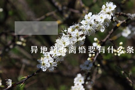 异地起诉离婚要有什么条件