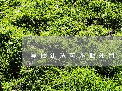 异地违法可本地处罚 异地违法可本地处罚