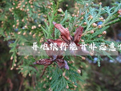 异地银行能开非恶意逾期证明嘛 异地银行能开非恶意逾期证明嘛