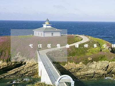 弋江区专业律师多少钱 弋江区专业律师多少钱