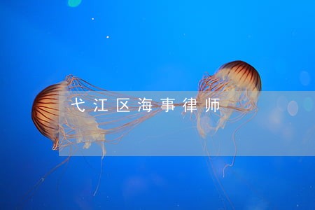 弋江区海事律师 弋江区海事律师