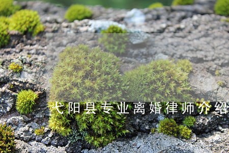 弋阳县专业离婚律师介绍 弋阳县专业离婚律师介绍