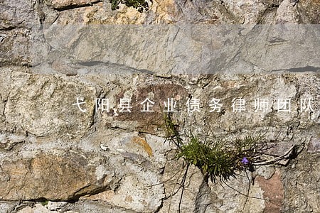 弋阳县企业债务律师团队 弋阳县企业债务律师团队