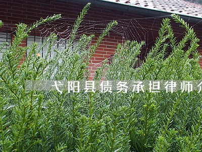 弋阳县债务承担律师介绍 弋阳县债务承担律师介绍
