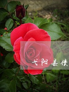 弋阳县债务担保律师 弋阳县债务担保律师