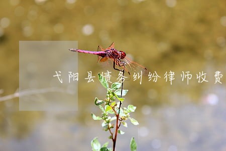 弋阳县债务纠纷律师收费 弋阳县债务纠纷律师收费