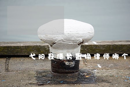 弋阳县债务置换律师哪个好 弋阳县债务置换律师哪个好