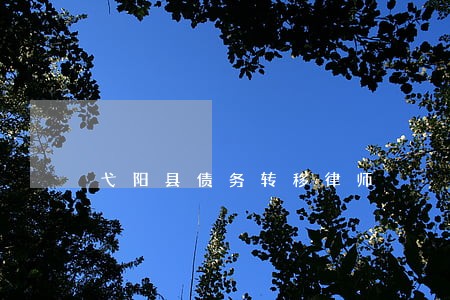 弋阳县债务转移律师