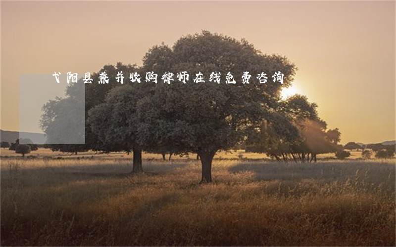 弋阳县兼并收购律师在线免费咨询 弋阳县兼并收购律师在线免费咨询
