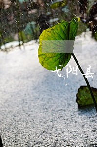 弋阳县婚姻专业律师