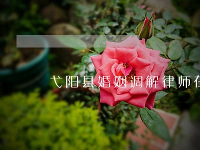 弋阳县婚姻调解律师在线 弋阳县婚姻调解律师在线