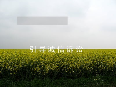 引导诚信诉讼