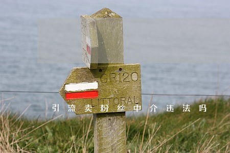 引流卖粉丝中介违法吗 引流卖粉丝中介违法吗