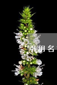 引用名言名句做广告违法吗 引用名言名句做广告违法吗