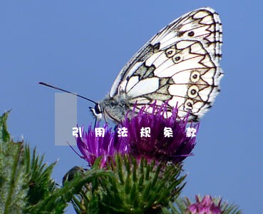 引用法规条款 引用法规条款