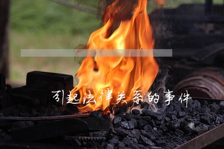 引起法律关系的事件 引起法律关系的事件