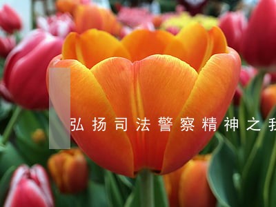 弘扬司法警察精神之我见 弘扬司法警察精神之我见