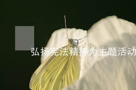 弘扬宪法精神为主题活动 弘扬宪法精神为主题活动