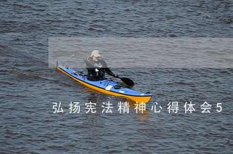 弘扬宪法精神心得体会5篇 弘扬宪法精神心得体会5篇