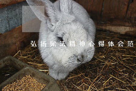 弘扬宪法精神心得体会范文五篇 弘扬宪法精神心得体会范文五篇