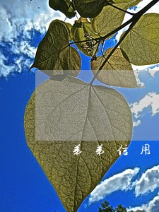 弟弟信用卡逾期了会影响姐姐吗