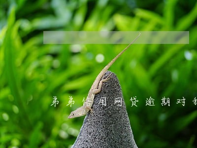 弟弟信用网贷逾期对我有影响吗 弟弟信用网贷逾期对我有影响吗