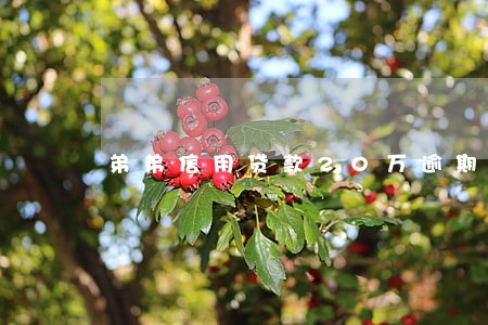 弟弟信用贷款20万逾期3个月 弟弟信用贷款20万逾期3个月