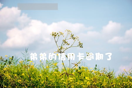 弟弟的信用卡逾期了 弟弟的信用卡逾期了