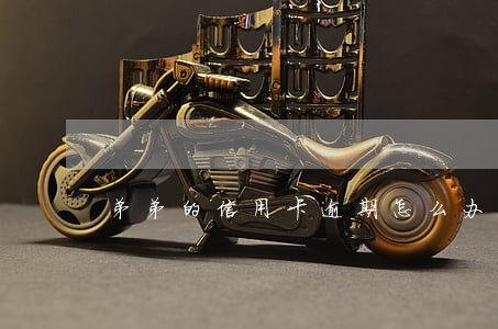 弟弟的信用卡逾期怎么办 弟弟的信用卡逾期怎么办