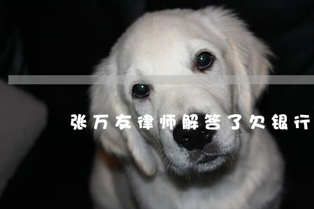 张万友律师解答了欠银行信用卡9 张万友律师解答了欠银行信用卡9