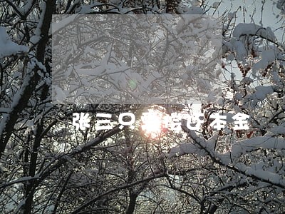 张三只需偿还本金 张三只需偿还本金