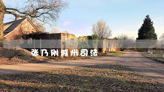 张乃刚滁州司法 张乃刚滁州司法