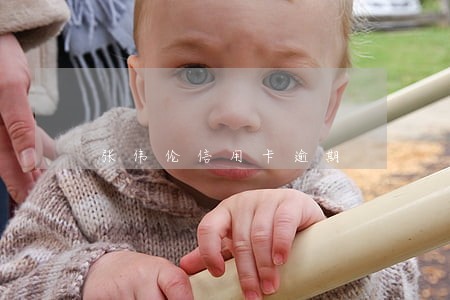 张伟伦信用卡逾期
