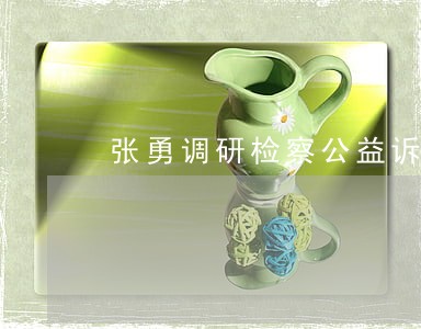 张勇调研检察公益诉讼工作 张勇调研检察公益诉讼工作