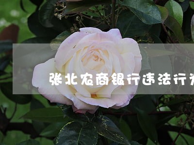 张北农商银行违法行为