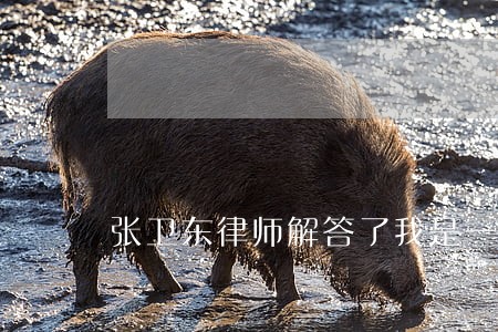 张卫东律师解答了我是一个女生 张卫东律师解答了我是一个女生