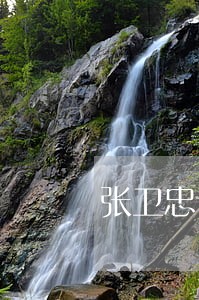 张卫忠诉讼 张卫忠诉讼