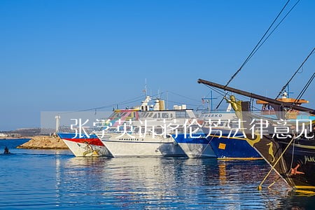 张学英诉蒋伦芳法律意见书 张学英诉蒋伦芳法律意见书