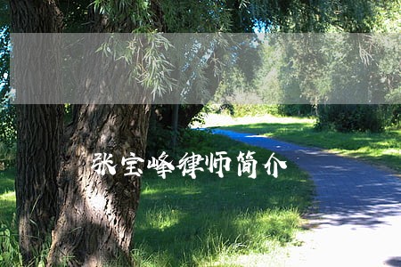 张宝峰律师简介 张宝峰律师简介
