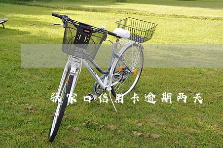张家口信用卡逾期两天 张家口信用卡逾期两天
