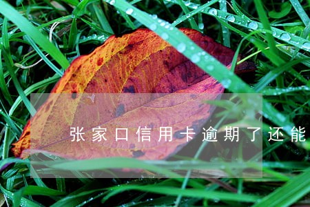 张家口信用卡逾期了还能用吗 张家口信用卡逾期了还能用吗