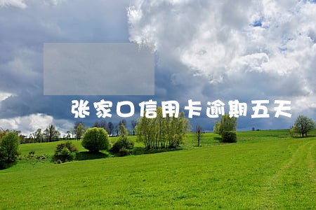 张家口信用卡逾期五天 张家口信用卡逾期五天