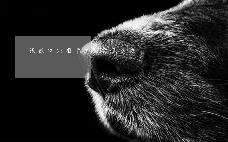 张家口信用卡逾期后怎么办 张家口信用卡逾期后怎么办