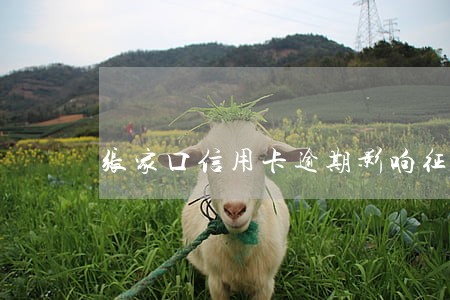 张家口信用卡逾期影响征信吗 张家口信用卡逾期影响征信吗