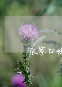 张家口地区办理债务律师推荐 张家口地区办理债务律师推荐
