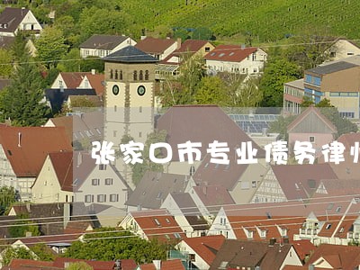 张家口市专业债务律师介绍 张家口市专业债务律师介绍