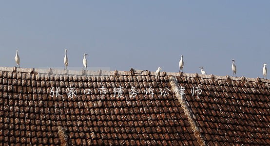 张家口市债务诉讼律师 张家口市债务诉讼律师